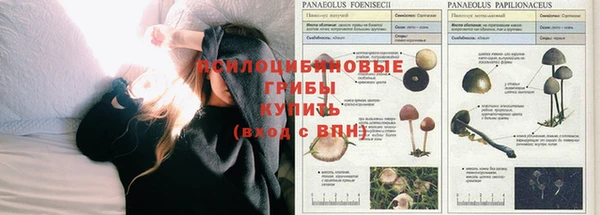 гашик Балабаново