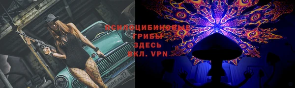 тгк Армянск
