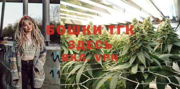сатива Баксан