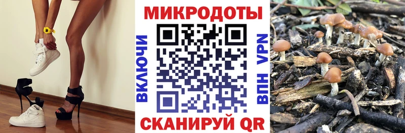 Псилоцибиновые грибы MAGIC MUSHROOMS  хочу   Борисоглебск 