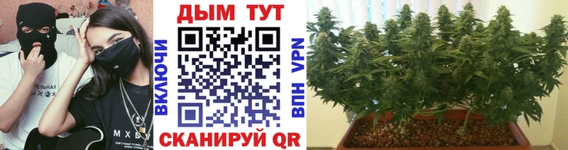 hydra ссылка  цены наркотик  Борисоглебск  Каннабис конопля 